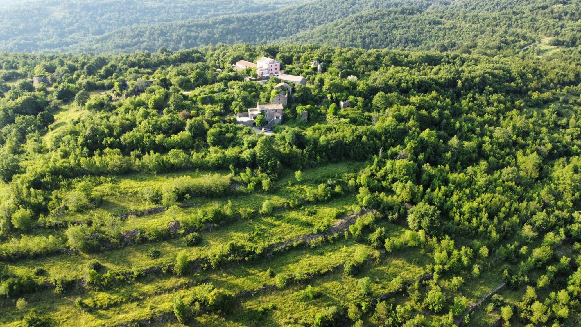 Casa Del Conte - Peaceful Hideaway In North Istria Βίλα Grožnjan Εξωτερικό φωτογραφία