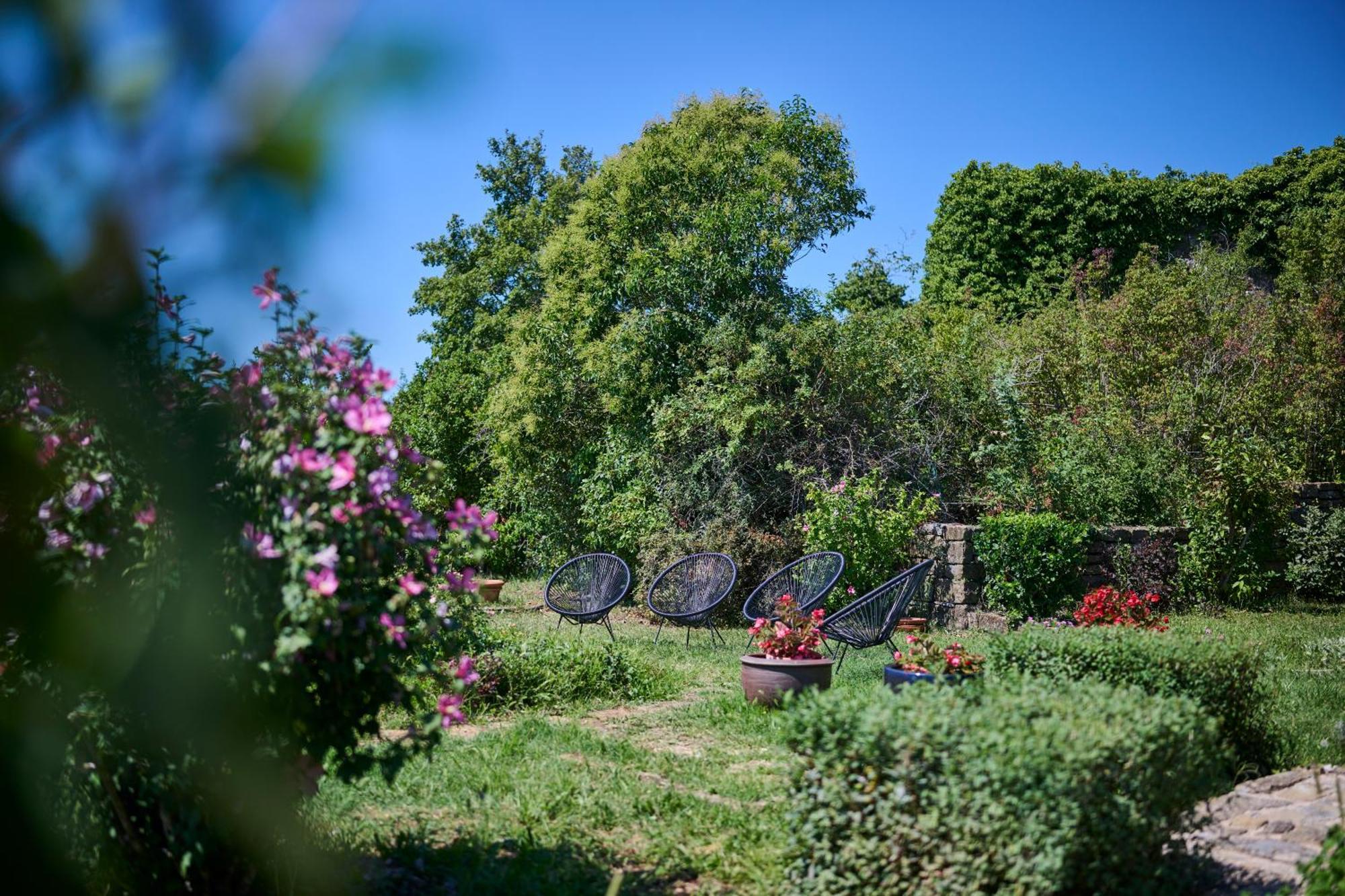 Casa Del Conte - Peaceful Hideaway In North Istria Βίλα Grožnjan Εξωτερικό φωτογραφία